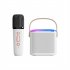 Y1 Portable Wireless Speaker With Wireless Microphones Interactive Karaoke Machine TF Card Player For Tablet Smart Phones Computer white single microphone