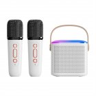 Y1 Portable Wireless Speaker with Wireless Mic Interactive Karaoke Machine