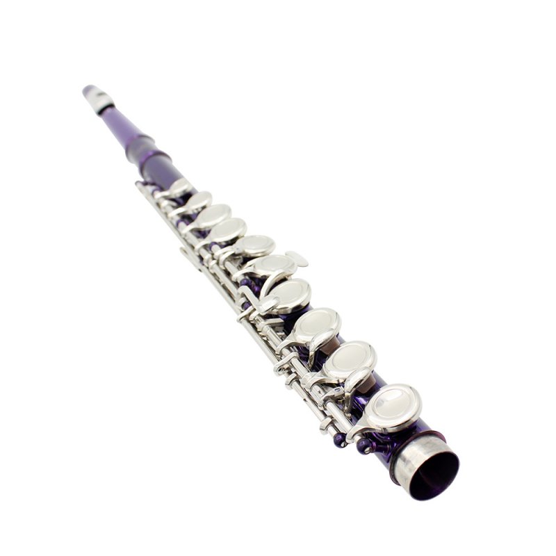 16-Hole Concert Flute Set C Key Woodwind Instrument with Gloves Mini Screwdriver Padded Case 