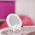LED Makeup Mirror With Humidifier