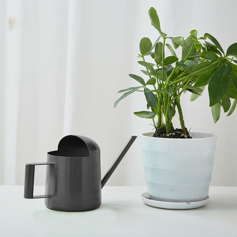 Watering Can For Indoor Plants Comfortable Handle Long Spout Water Can Capacity 300ML Spouted Watering Kettle 