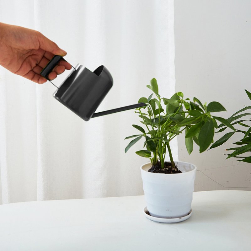 Watering Can For Indoor Plants Comfortable Handle Long Spout Water Can Capacity 300ML Spouted Watering Kettle 