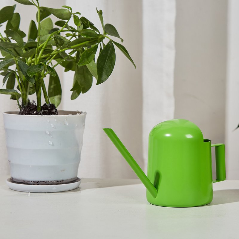 Watering Can For Indoor Plants Comfortable Handle Long Spout Water Can Capacity 300ML Spouted Watering Kettle 