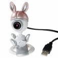 Computer Video Camera