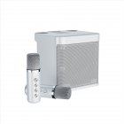 Ys203 100w High-power Wireless Portable Microphone Bluetooth-compatible Speaker Outdoor Family Party Karaoke Box White