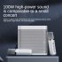 Ys203 100w High power Wireless Portable Microphone Bluetooth compatible Speaker Outdoor Family Party Karaoke Box White