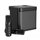 Ys203 100w High power Wireless Portable Microphone Bluetooth compatible Speaker Outdoor Family Party Karaoke Box black