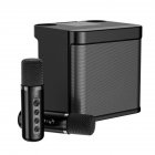 Ys203 Wireless Portable Microphone Bluetooth 100w High-power Speaker