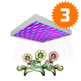 LED Grow Light