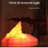 ZYS 3D Print Fiery Dragon Lamp Home Decor USB Charging Night Light monochrome