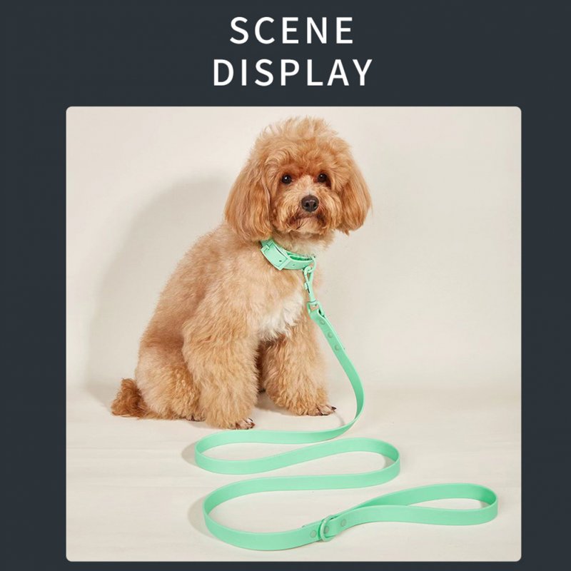 Dog Collar Leash Set Combo Waterproof Dog Training Leash With 30-40cm Adjustable Collar For Small Medium Large Dogs Light green M