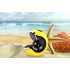 Zealot S33 Wireless Bluetooth Speaker Portable Mini 3D Stereo Subwoofer Snail Shape Speaker with Microphone Support TF sd Card