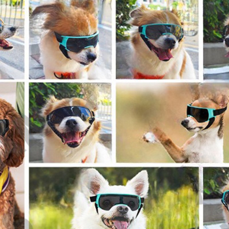 Small Dog Goggles UV Protection Doggy Sunglasses Windproof Sun-proof Soft Frame Pet Glasses For Small Dogs 