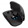 Mini Twins True Wireless In Ear Earbuds