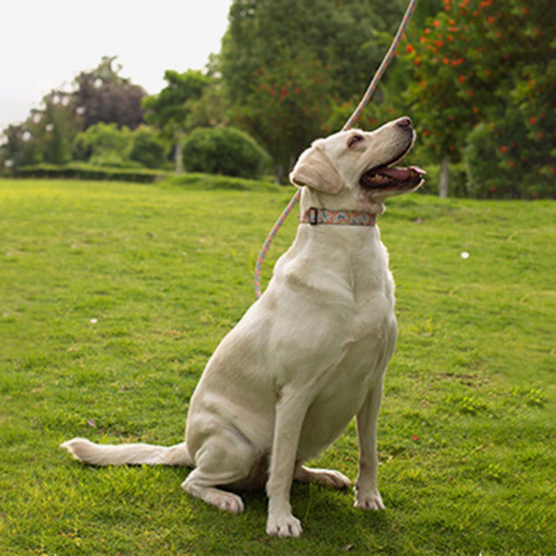 Heavy Duty Dog Rope Leash With Ultra-Soft Padded Handle Wear-resistant Reflective Dog Leash For Small Medium Large Dogs Pink 2 m, L size (thick 1.2cm)