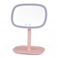 LED Makeup Mirror 10X Magnifier Pink