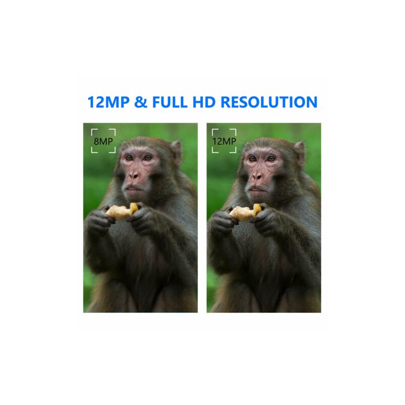 Trail Camera 12MP Image 1080P HD Video IP66 Waterproof 120° Detection Rang Wildlife Reconnaissance Infrared Night Vision Camera  