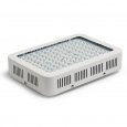 LED Grow Light