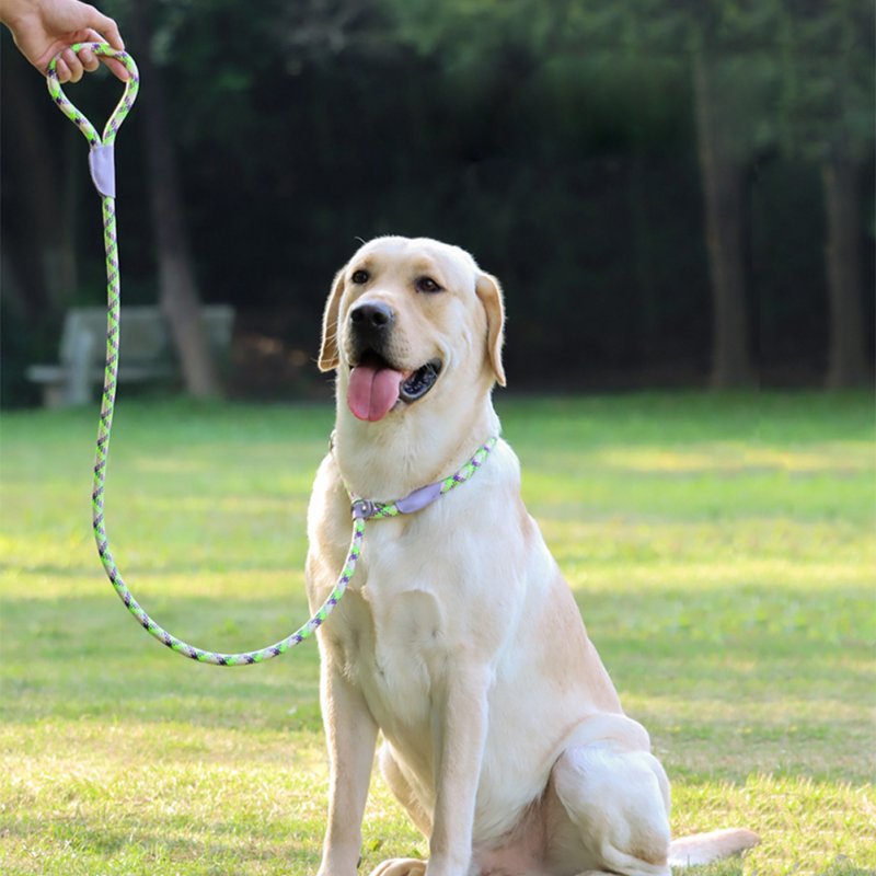 150cm Adjustable Pet Walking Training Leash Wear-resistant Reflective Leads Rope For Medium Large Dogs Purple Leather Green + Purple M-medium-sized dog