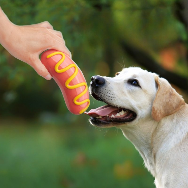 Dog Chew Toys For Aggressive Chewers Indestructible Squeaky Interactive Dog Toys Tough Hot Dog Rubber Toys For Teeth Cleaning 