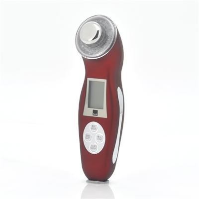 Anti-Oxidant Ultrasound Skin Scrubber