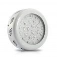 LED Grow Light