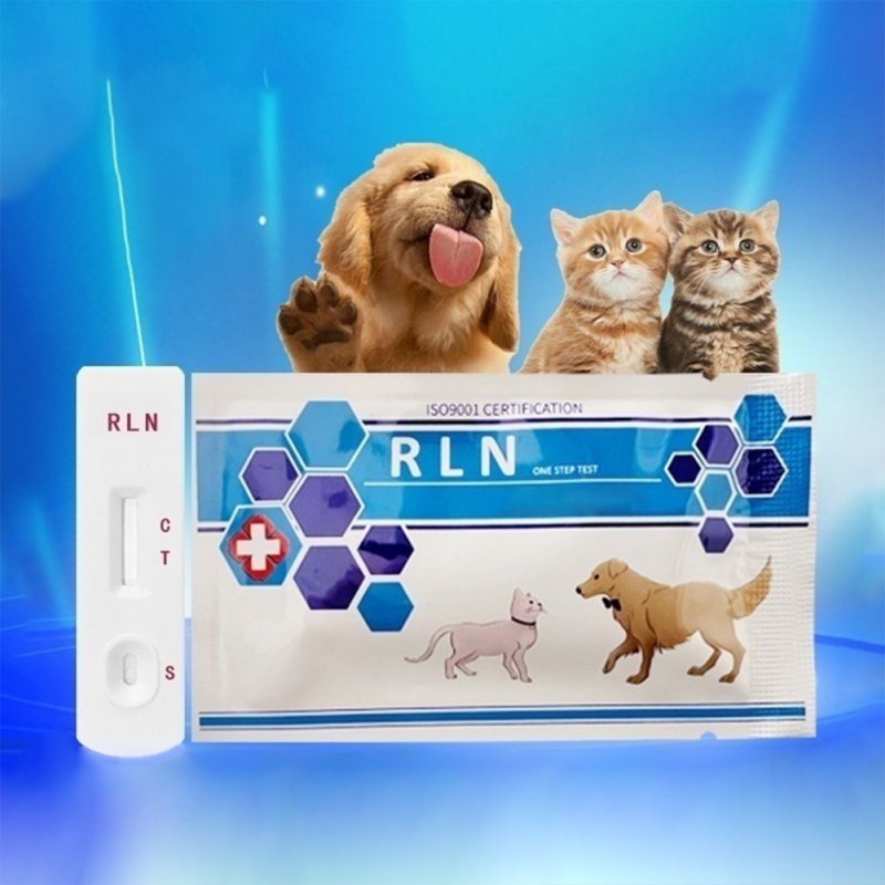 Dog Pregnancy Test Kit Fast Accurate Detection Within 5 Minutes Pregnancy Tests Strip Pet Clinic Equipment 