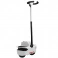 Mini Dual Wheel Self-Balancing Electric Vehic