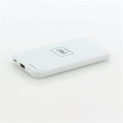 Portable Power Bank w/ 4800mAh + Qi Charging