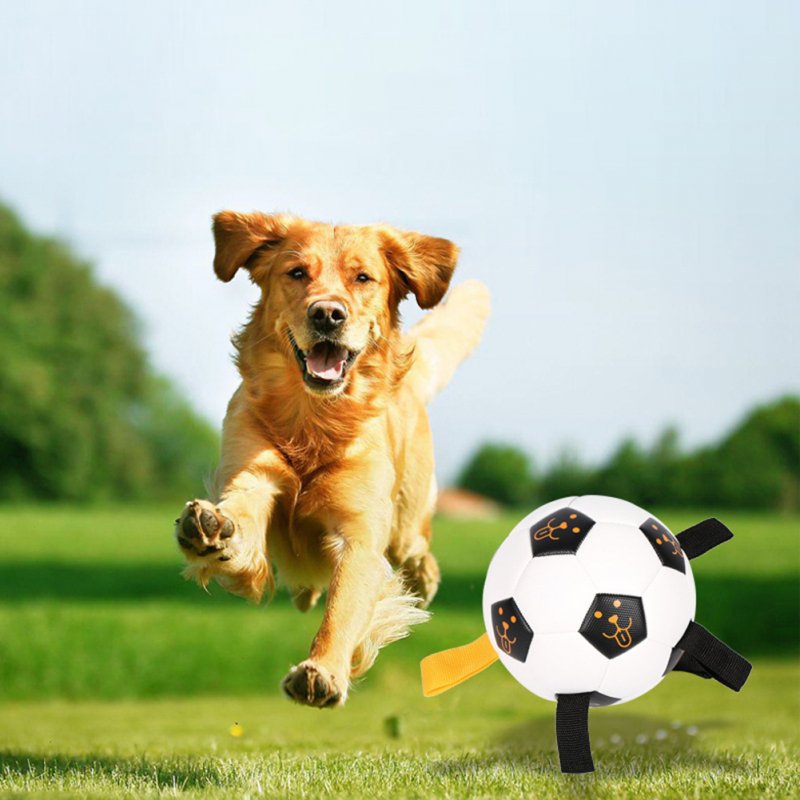 17CM Pet Ball Toys Water Sports Training Ball Super Elastic Outdoor Interactive Dog Football