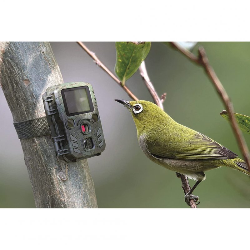 Suntek Mini 301 Tracking Camera Plug-in Card 24mp/1296p Convenient Trail Camera Infrared Night Vision Wildlife Cam