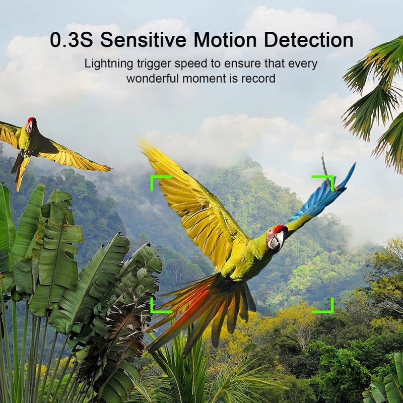 Suntek Mini 301 Tracking Camera Plug-in Card 24mp/1296p Convenient Trail Camera Infrared Night Vision Wildlife Cam