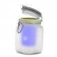 Solar Powered Sun Jar