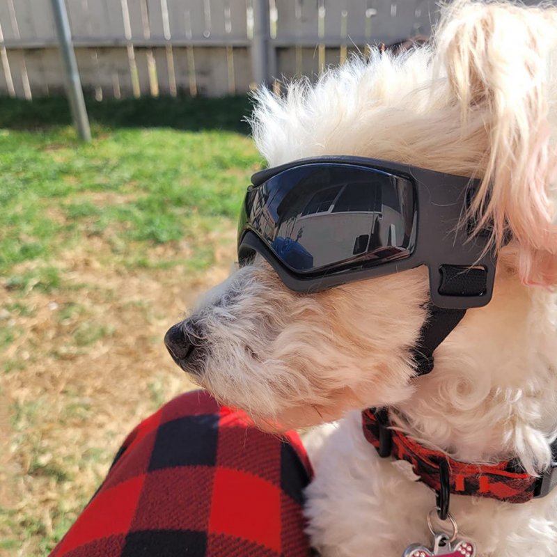 Pet Dogs Lightweight Goggles Windproof Dustproof Uv Protection Strong Toughness Sunglasses Pet Supplies 