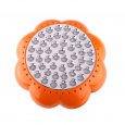 LED Grow Light