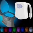 LED Toilet Light