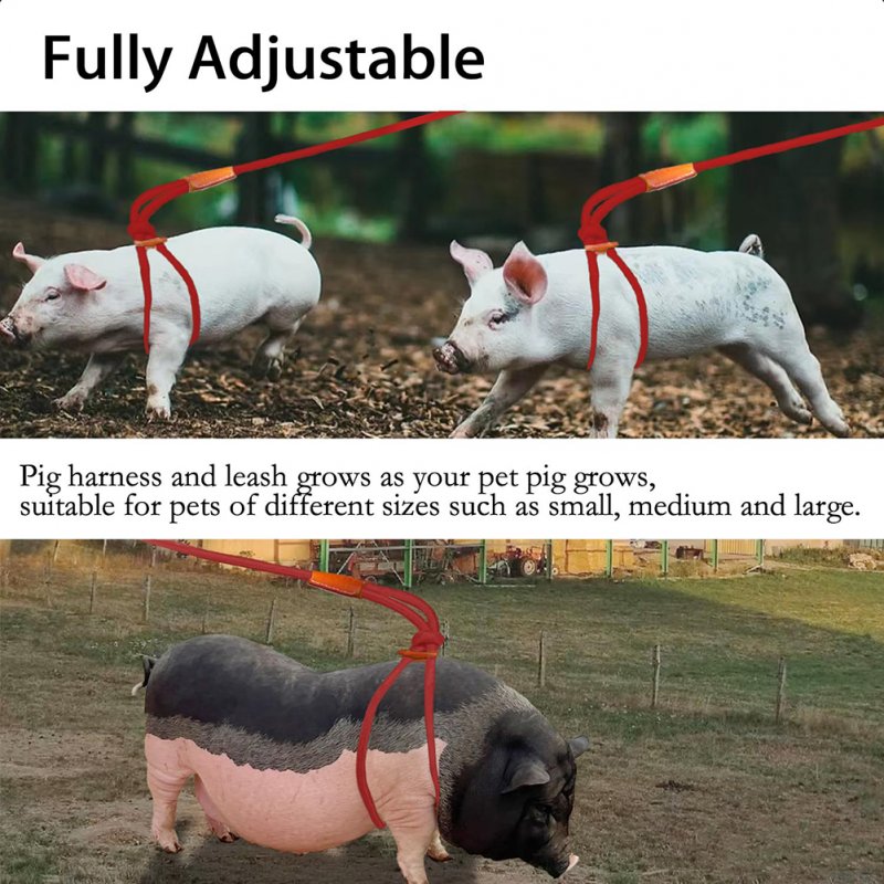 Double Headed Mini Pig Harness Leash Adjustable Heavy Duty Pet Supplies For Daily Walking Training Jogging green