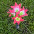 Solar LED Lamp
