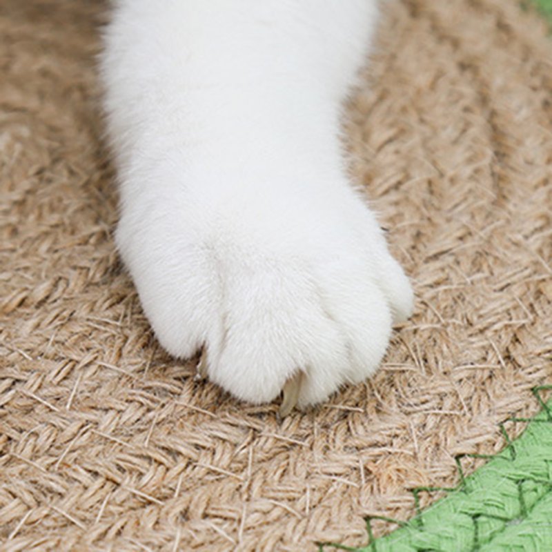 Pet Cat Round Scraper Mat Scratch-resistant Scratch Board Sleeping Blanket Sofa Furniture Protector 