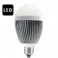 LED Light Bulb