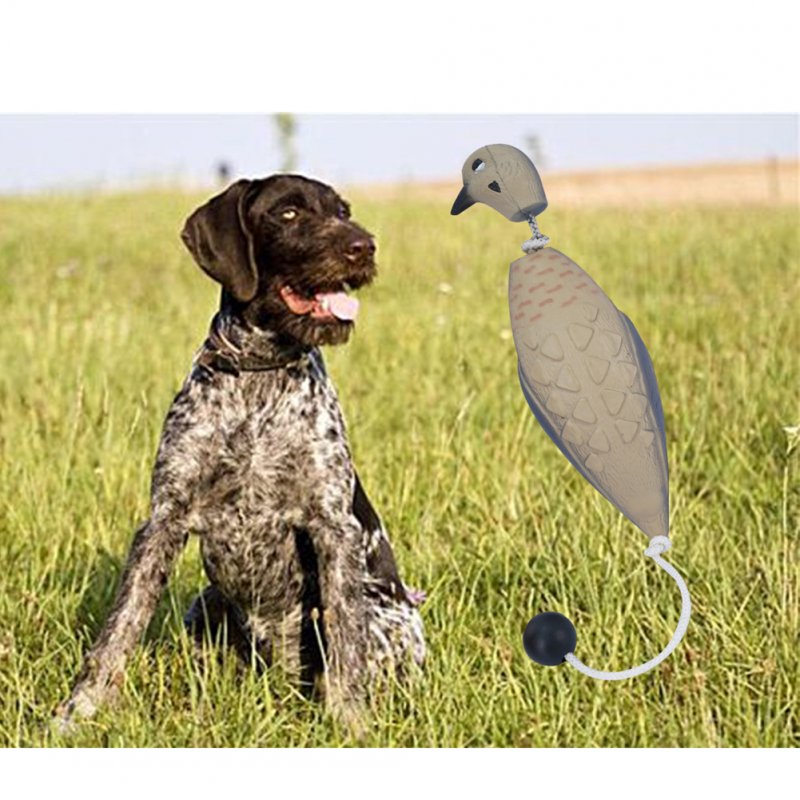 Artificial Dead Bird Fetch Toy For Training Dogs Outdoor Indoor Imitate Dead Fowl Dog Training Toys Essential For Trainers the bird 25 x 7 x 6cm