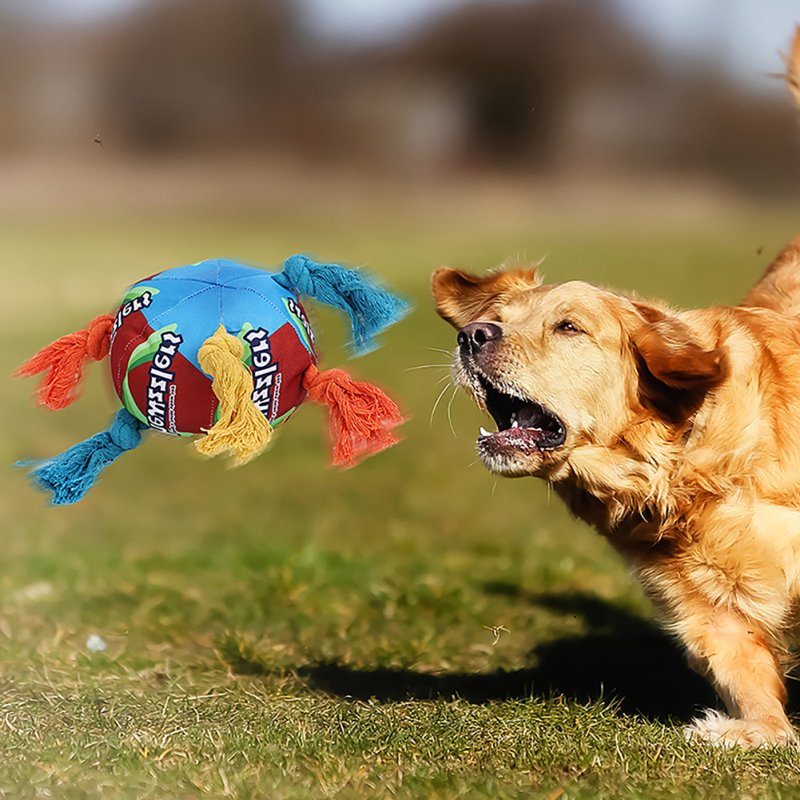 Pet Dogs Snuffle Ball With Interactive Bite Resistant Rope Squeak Toys Pet Accessories For Medium Large Dogs (14.5 x 10.5cm) 