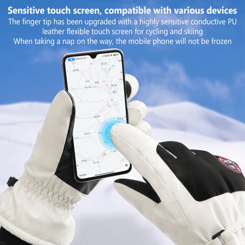 1 Pair Men Women Outdoor Ski Gloves Windproof Waterproof Non-slip Touch Screen Winter Warm Gloves SK28 Light Grey