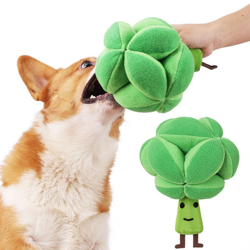 Pet Dog Broccoli Snuffle Ball Puzzle Toys Slow Dispensing Feeder Increase IQ Squeaky Toys Green