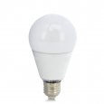 9 Watt LED Light Bulb