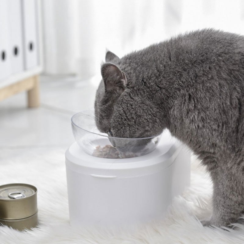 Resin Simple Transparent Pet  Bowl Grain Storage Type Oblique Neck Protector Not Wet Mouth Easy Clean Cat Dog Double Bowl Food Bowl 