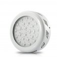 LED Grow Light