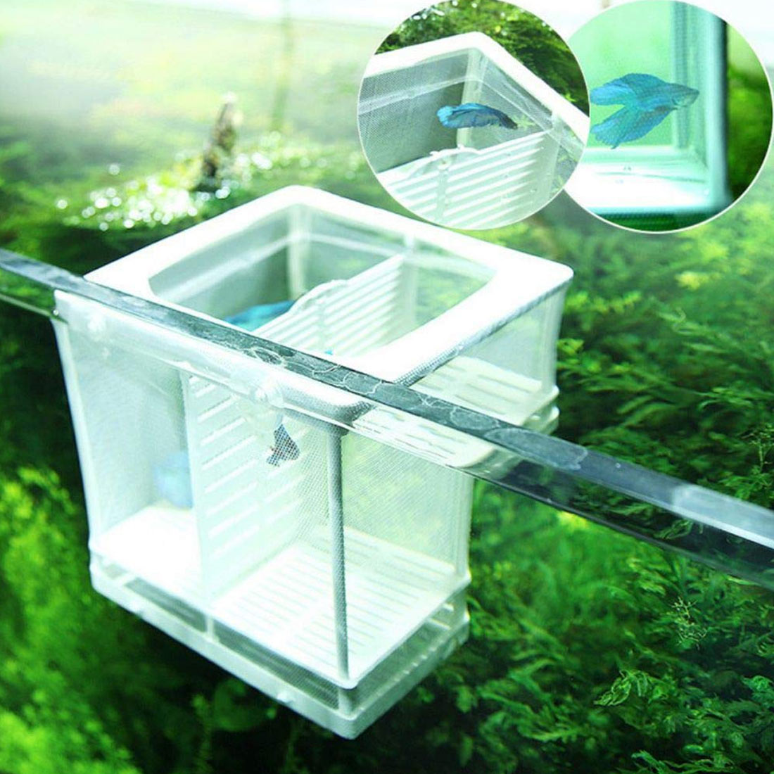 Aquarium Breeding Box Net Breeder Box Isolation Hairtail Nursery House 