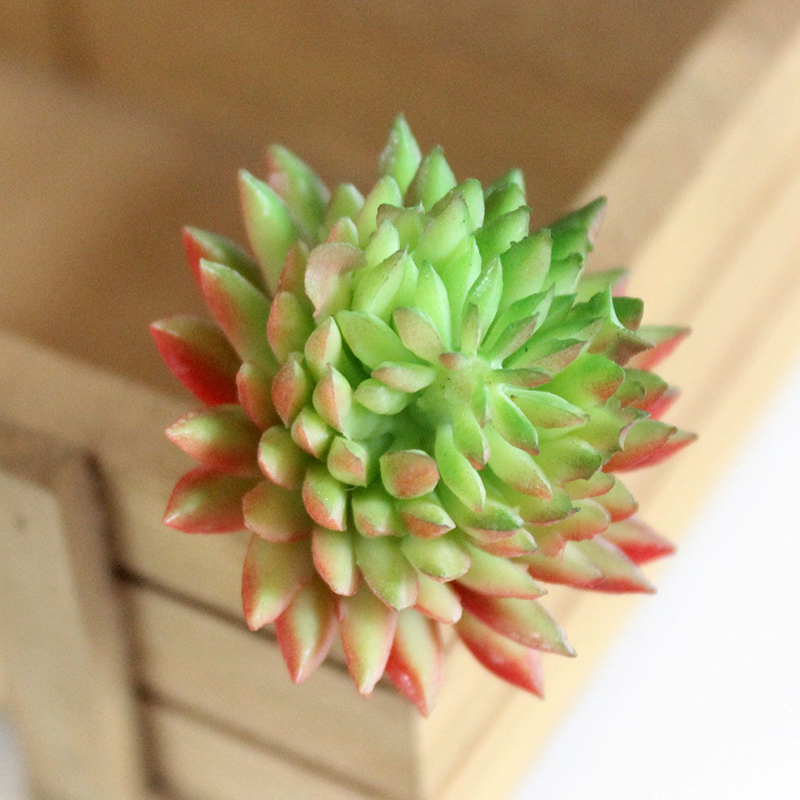 Artificial Lifelike Succulents Multi Type PVC Plant Garden Miniature Aloe Cactus DIY Home Floral Decor